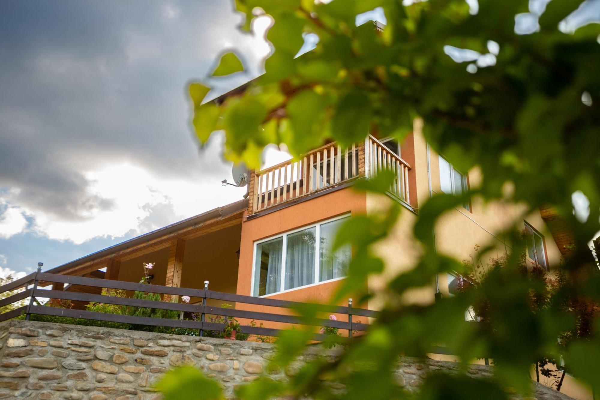 Casa Rumelia Paltineni Eksteriør billede